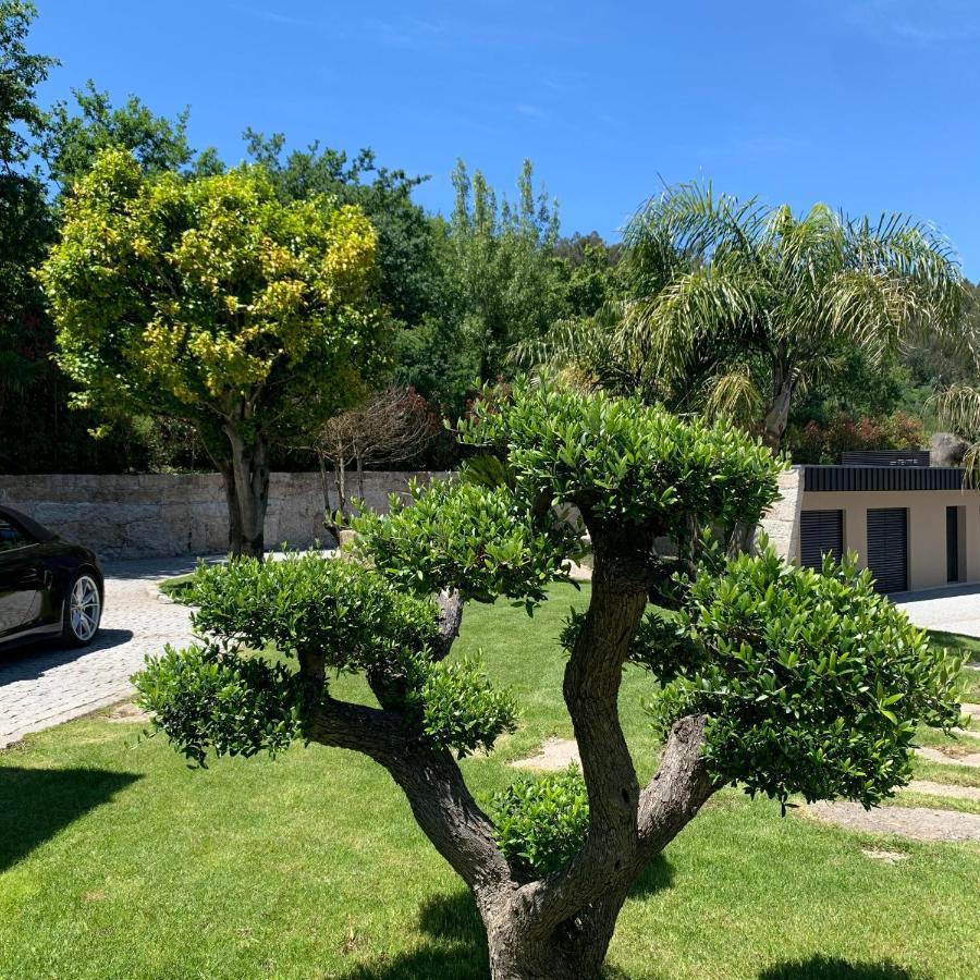 Quinta de Santa Ana, em Vizela Infias Exterior foto