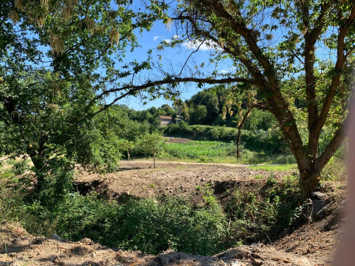 Quinta de Santa Ana, em Vizela Infias Exterior foto